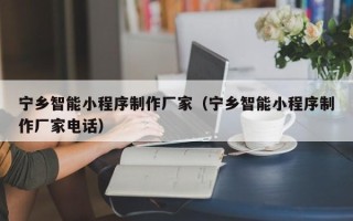 启东宁乡智能小程序制作厂家（宁乡智能小程序制作厂家电话）