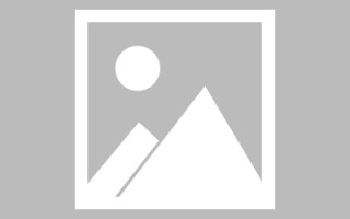 启东网站建设许昌论坛（许昌网站seo）